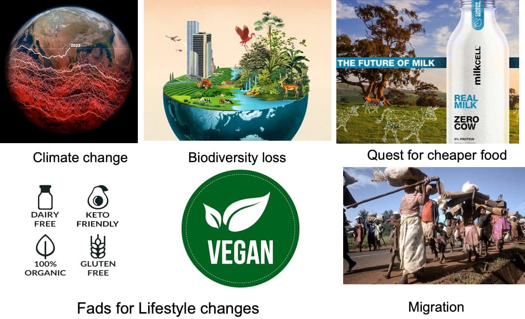 Creating a Risk Register for the Dairy Industry Amidst the Meta Crisis