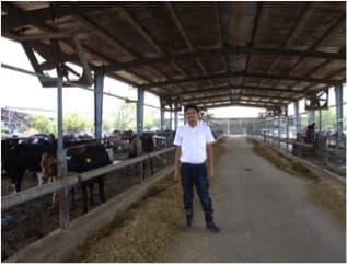 The NZ dairy expert, the remote rural Indian village, and a trade lesson