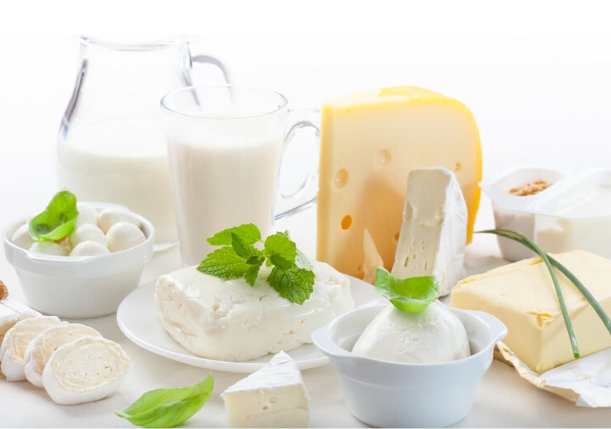 Innovative cheese, butter and yogurt products fuel dairy market growth - CoBank