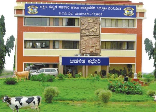 Milk procurement improves by 50k litres in Dakshin Kannada; demand remains high