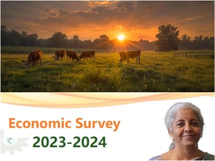 Livestock Sector Boosts Agricultural GVA from 24.32% to 30.38% in Eight Years