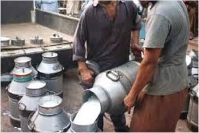 One in seven samples of loose milk failed in Punjab