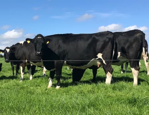 Making contract rearing a ‘win-win’ for all involved