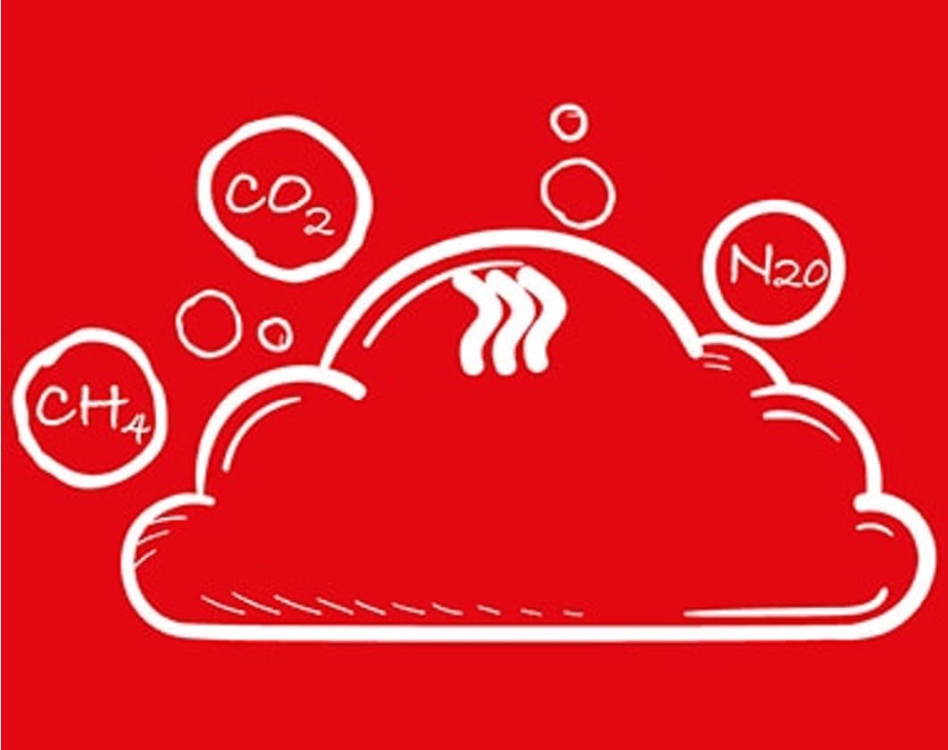 Modern Dairy, dsm-firmenich to collaborate on dairy sustainability