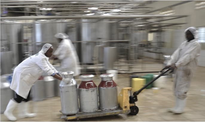 Indian dairy industry to see 13-14% revenue growth in FY25