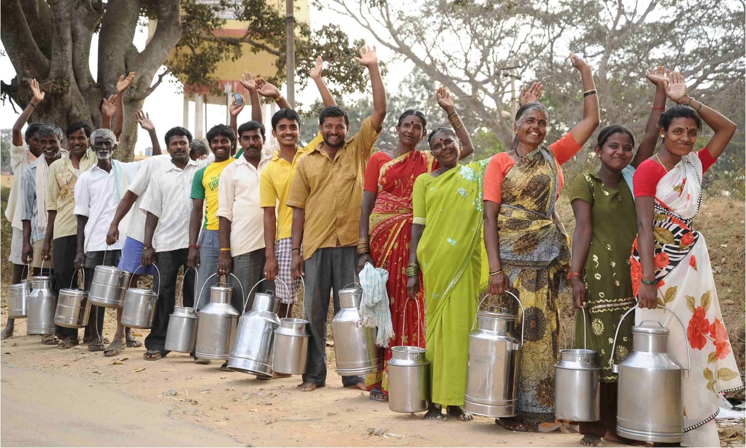 Dairy dilemma: Surplus milk, scarce profits