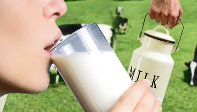 Milk production annual growth rate slips further to 3.78% in FY24