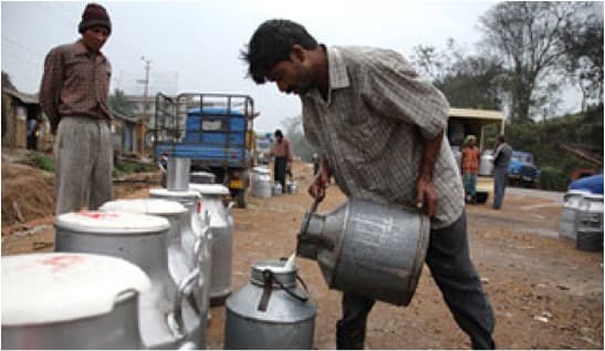 Milk demand in Indore surges during winter