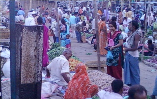 Shifting Consumer Preferences and Buying Habits