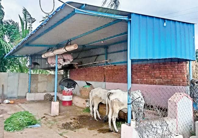 Andhra dairy farmers urged to utilise mini-Gokulams