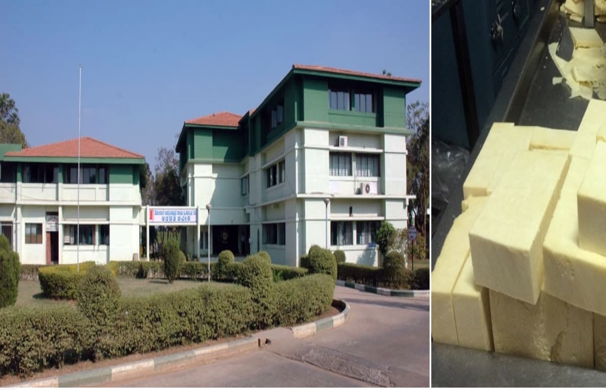 Kolar district’s dairy Industry faces crisis in Karnataka