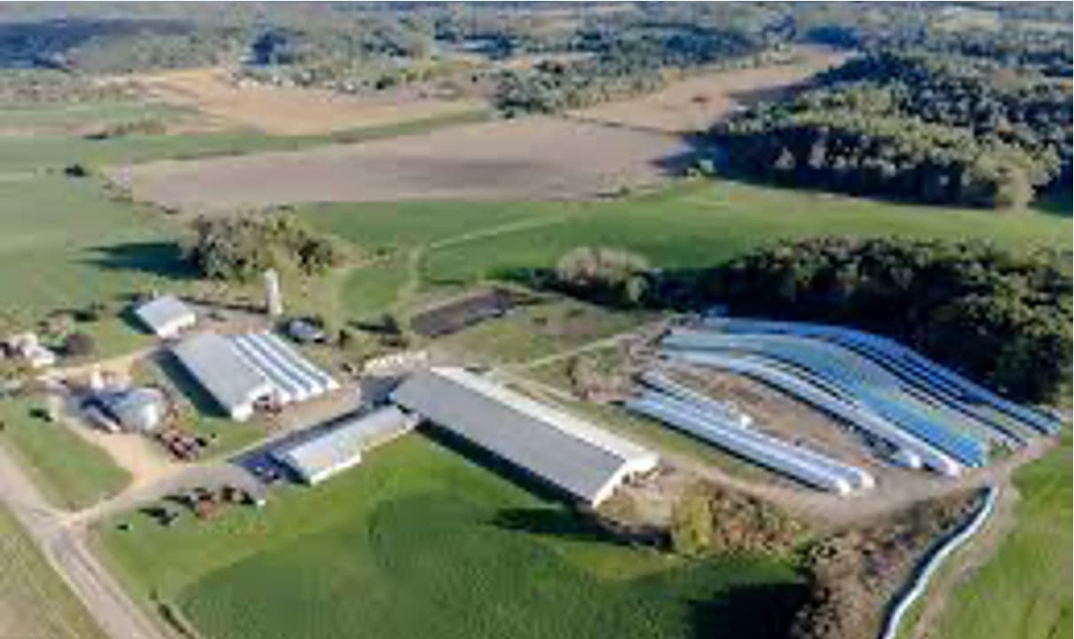 US Lost 6% of Dairy Farms impacting Top 10 States