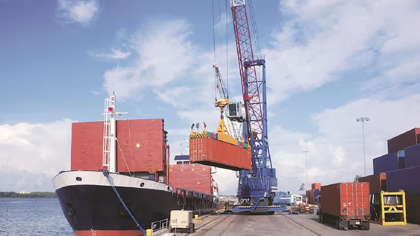 Farm exports to hit most if US decides on reciprocal tariffs