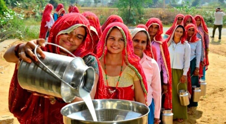 Women Milk Producer Organization eyes Rs 1,800cr turnover