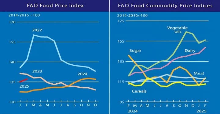 FAO Food Price Index: Sugar and dairy push February rise