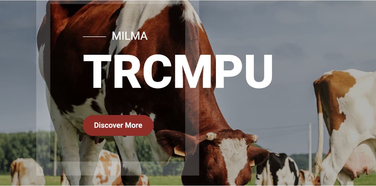 Milma’s TRCMPU Announced Additional Milk Rate of Rs 16/L