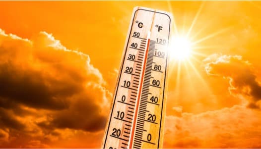 Early Heatwave Threatens Indian Milk Markets with Extended Shortages