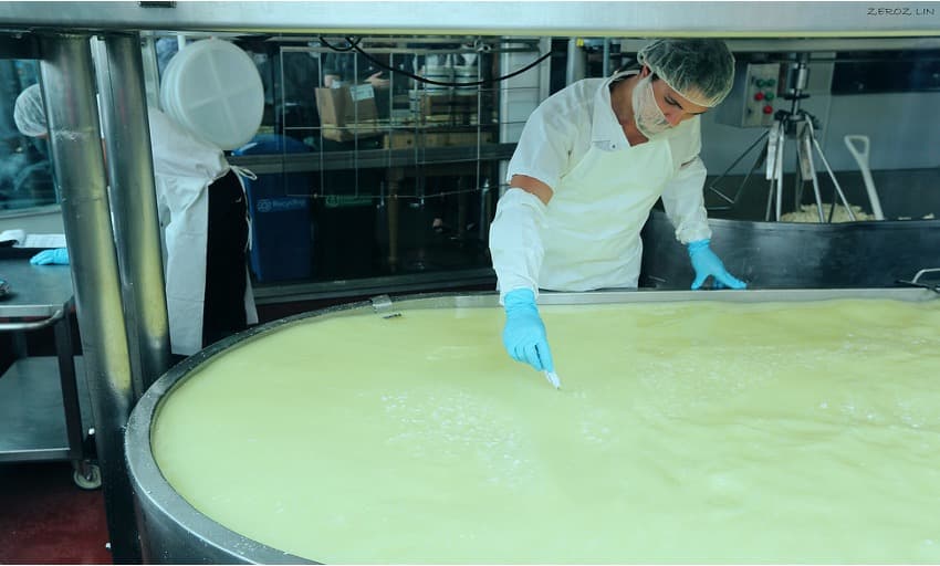 Australia Eyes Whey to Curb Dairy Waste