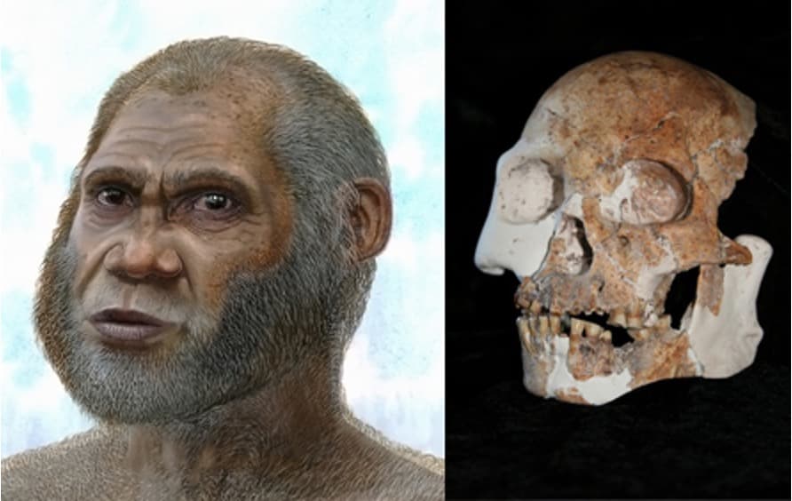 East Asians Evolved Milk Tolerance Pre-Dairying