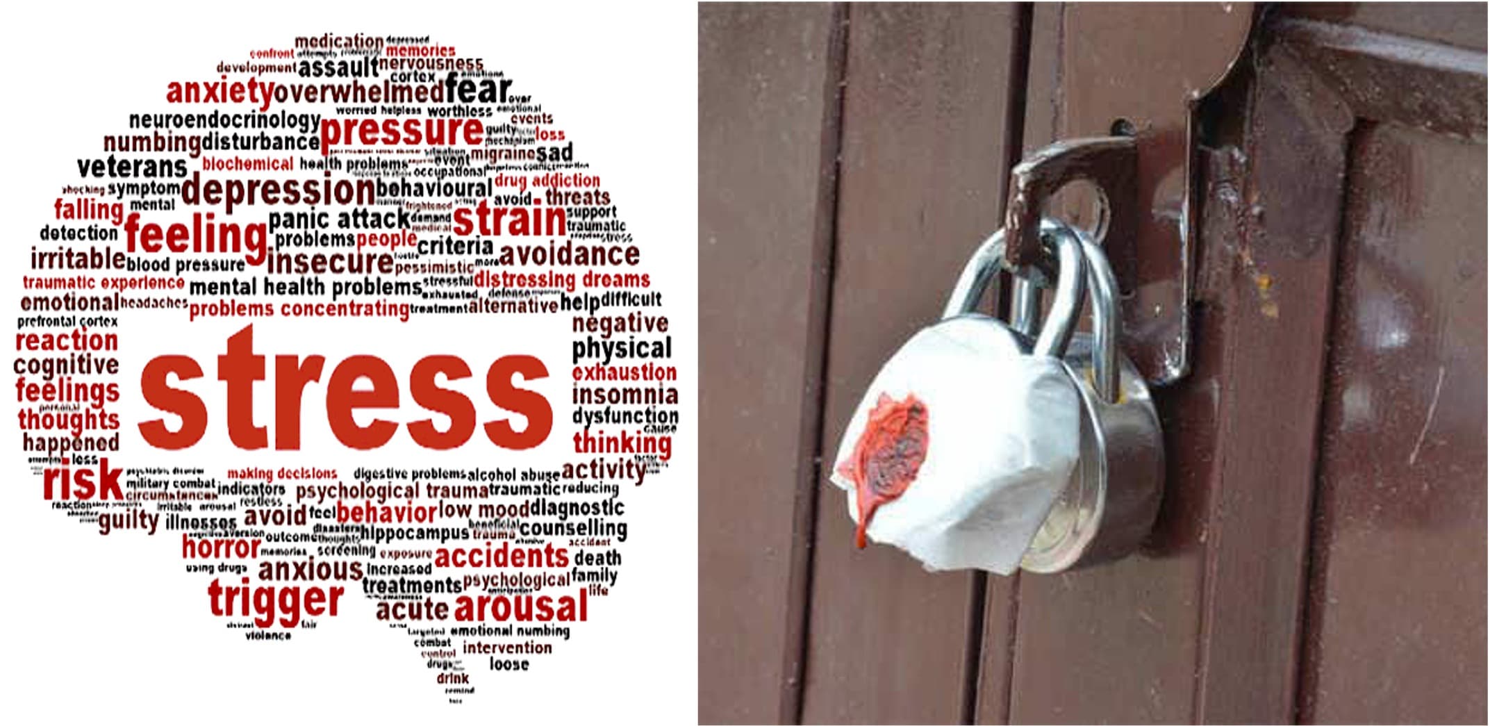 Dairy operator dies by suicide under bank debt pressure