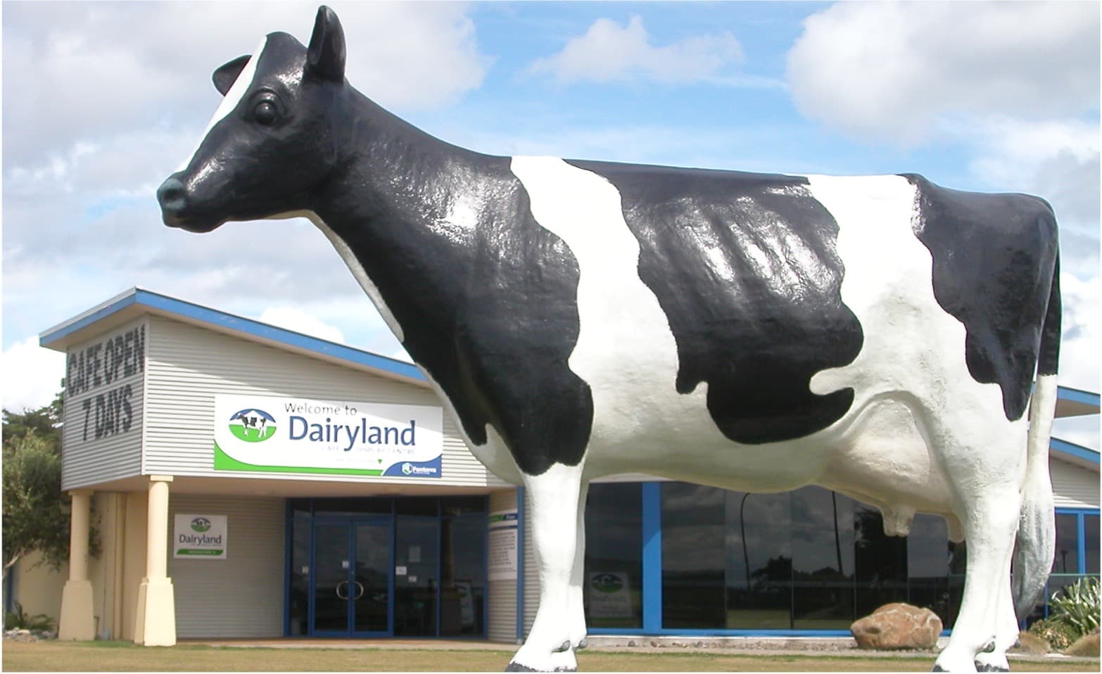 NZ Dairy Accelerates Sustainability & Tech Shift