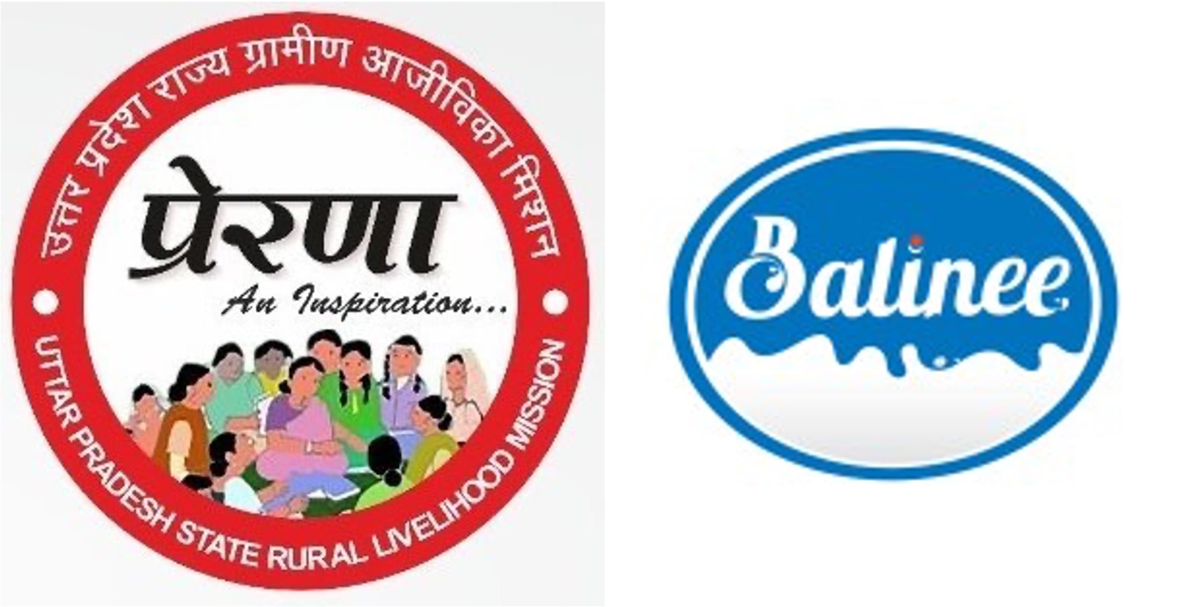 UP to Scale Village-Level Milk Procurement Network