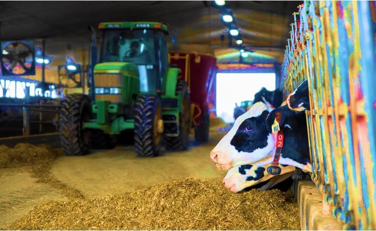 Canada, NZ Settle Dairy Quota Dispute Under CPTPP