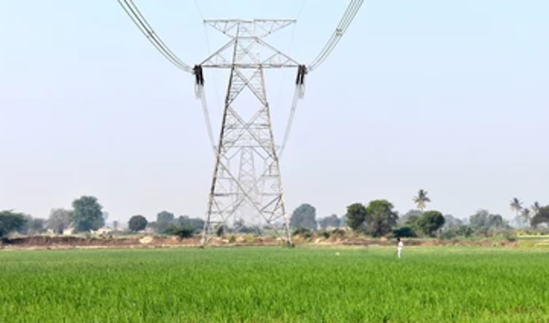 Kerala Cuts Power Tariffs for Dairy Farms, Boosting Sector Relief