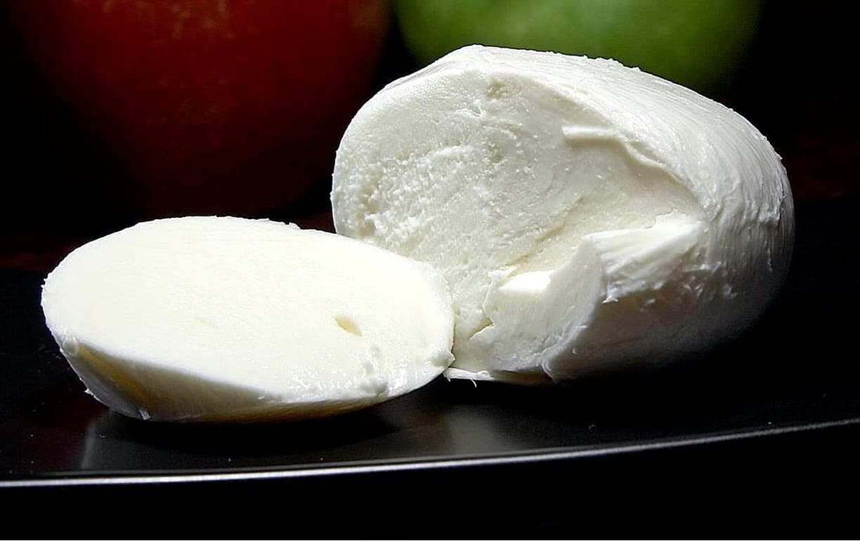 Punjab Farmers Eye Premium Cheese Beyond Paneer