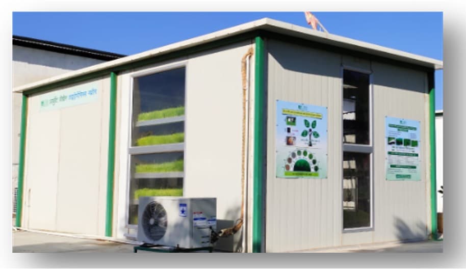 Hydroponics Technology for Green Feed Production