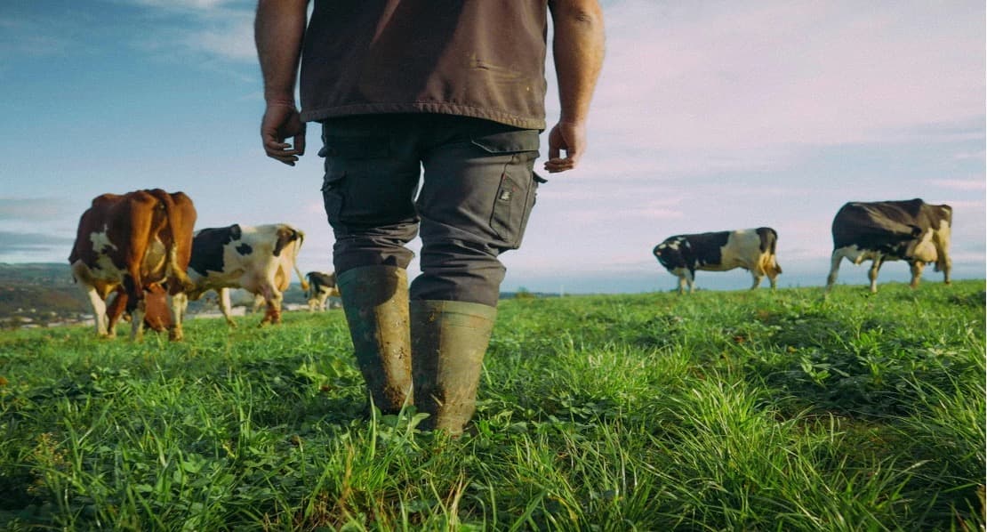 Danone’s procurement battles methane in African dairy