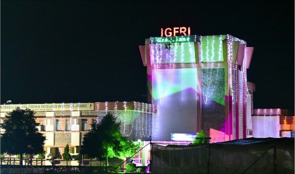 MoU inked to boost quality forage seed for dairy — Rasi & ICAR-IGFRI