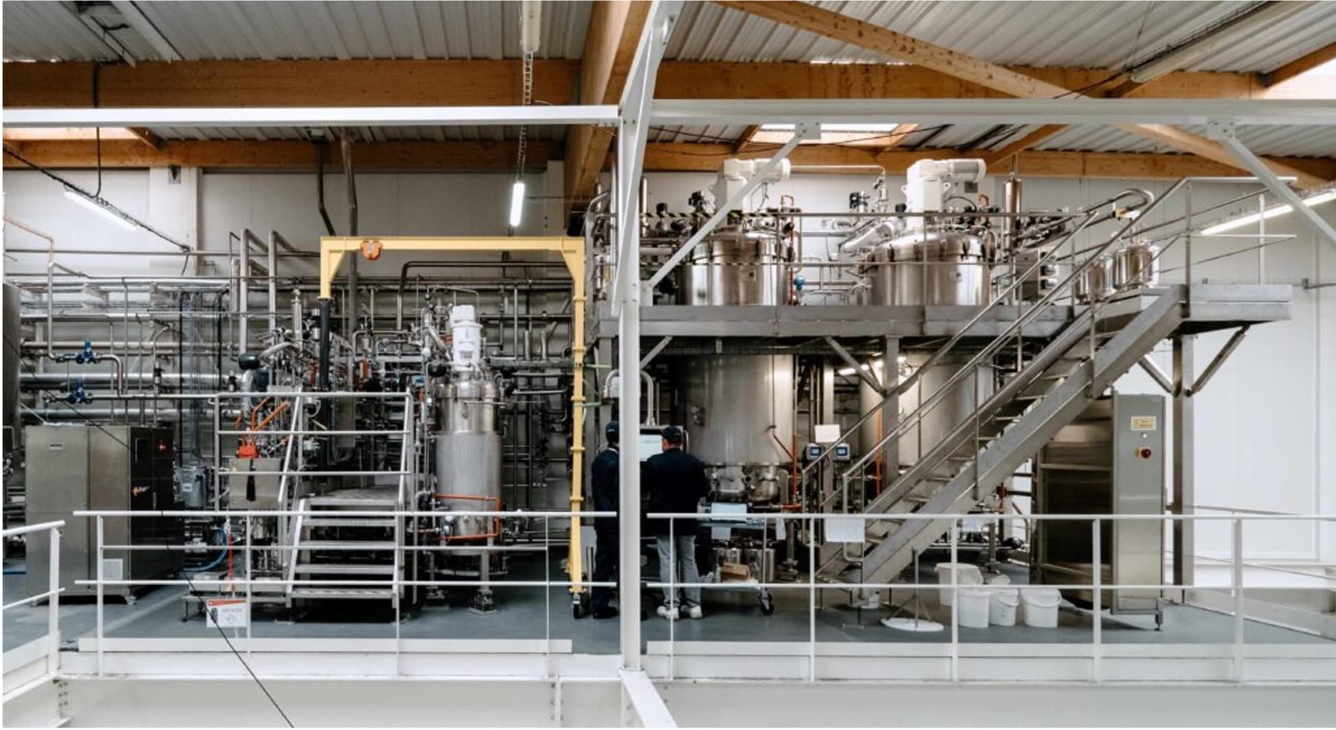 Bel Group backs precision fermentation