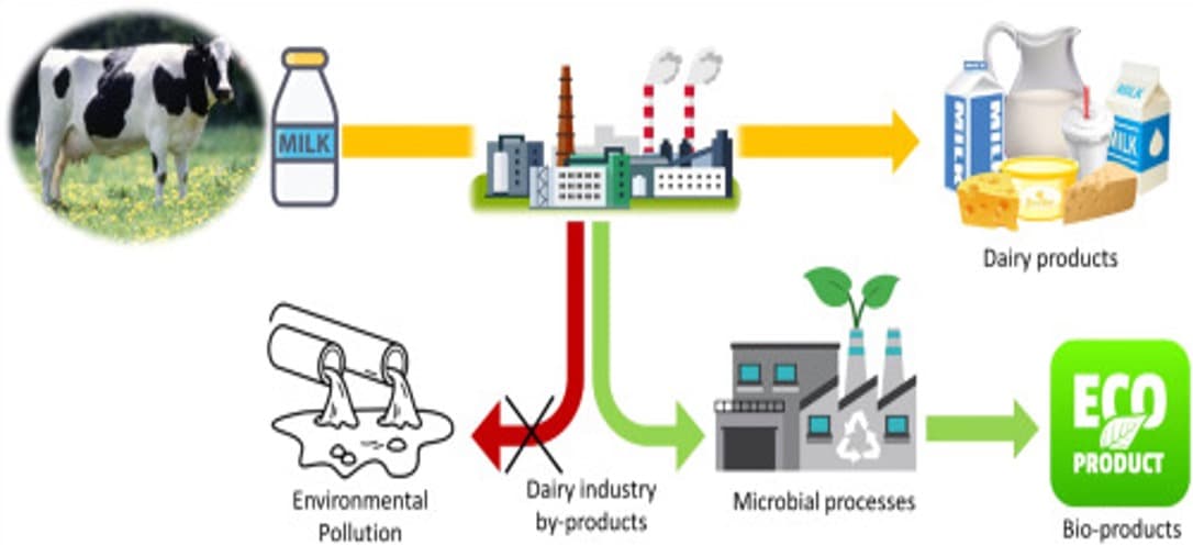 Dairy By-Products Upcycled into Clean Water & Bio-Fertilisers