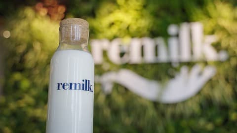Recombinant dairy startup Remilk unveils “New Milk” launch