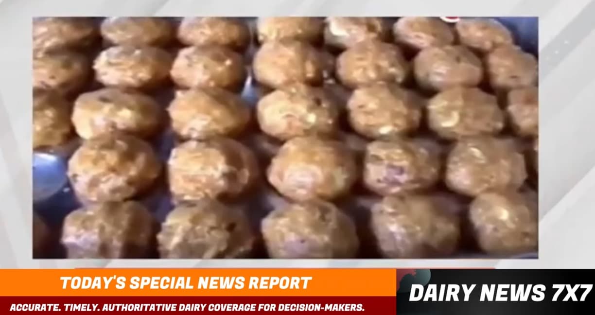 CBI Chargesheet Clears Animal Fat Allegation in Tirupati Laddu Ghee