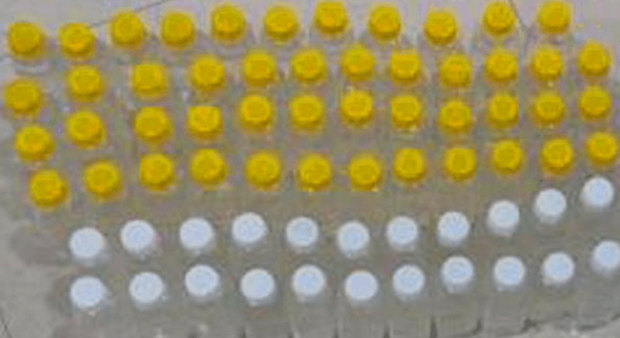 Illegal Oxytocin Seized in Telangana Dairy Probe