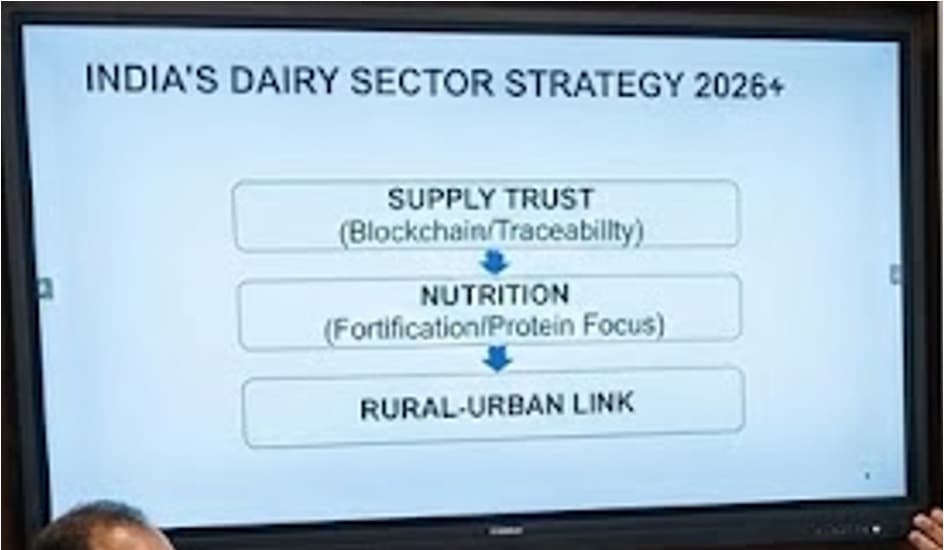 India’s Dairy Sector Rethinks Supply Trust & Nutrition Strategy