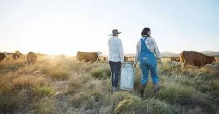 Dairy Foods Honors 10 Women Leaders in Industry