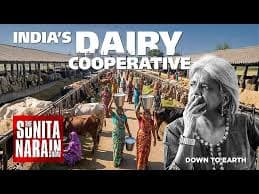 Scale up India’s dairy cooperative model: Sunita Narain