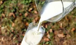 Telangana Plans Milk for Govt School Students