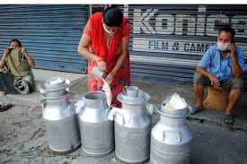 MP Milk Prices Rise ₹2–₹4/Litre Amid Cost Surge