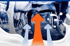 Rising Milk Output Sparks Global Dairy Concerns