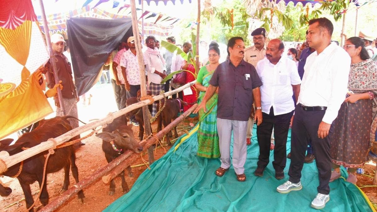 Andhra Launches Animal-Centric Breeding Program