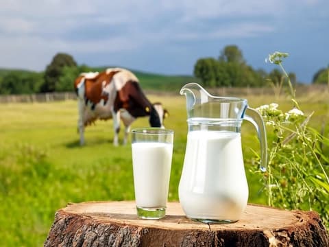 Dairy Milk Shows Edge in Bone Health Debate