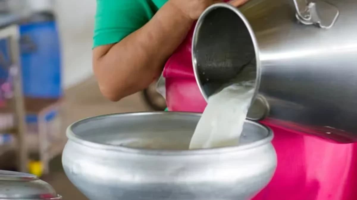 Assam Targets 400 Dairy Co-ops by September