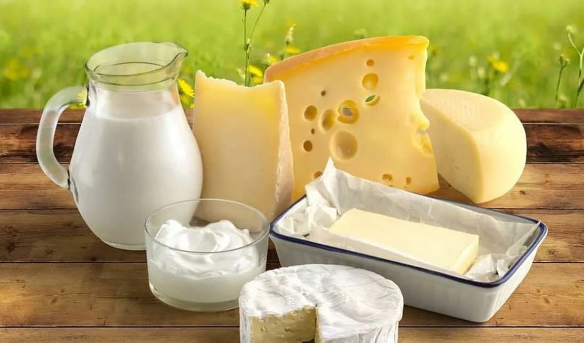 Cheese & Butter Drive Global Dairy Growth