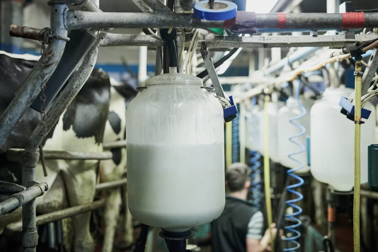 Ireland’s Liquid Milk Producers Continue to Decline