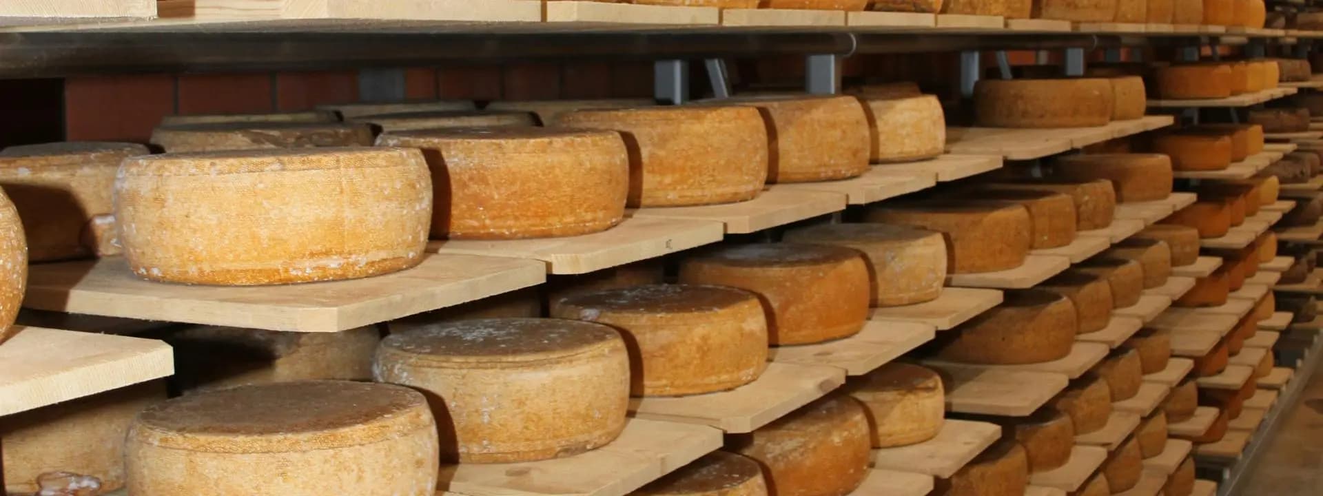 Scientists Turn Dairy Waste Into Bioethanol