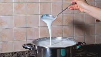 Mathura Raid Exposes 1,500 Kg Fake Paneer